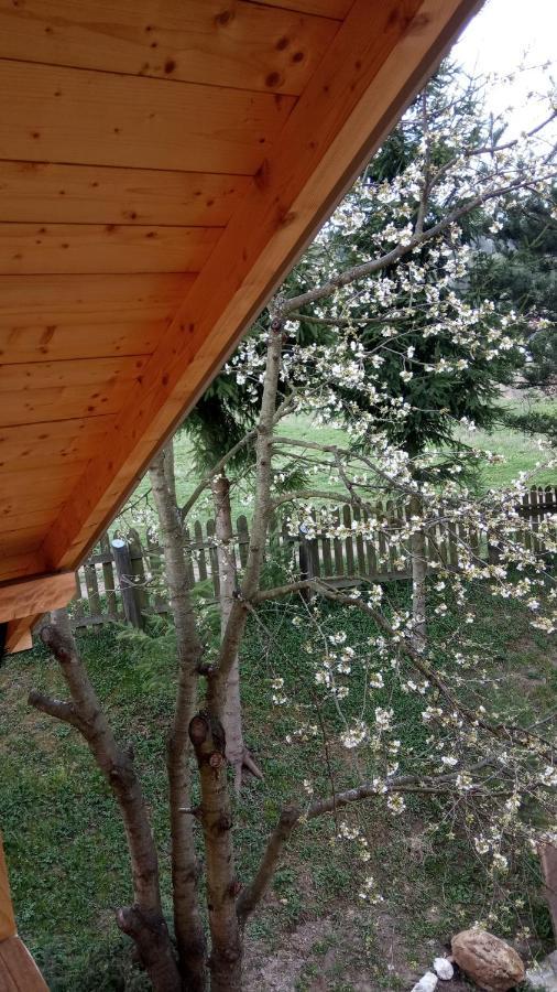 Pokoje U Adama Grajoka Szczawnica Kültér fotó