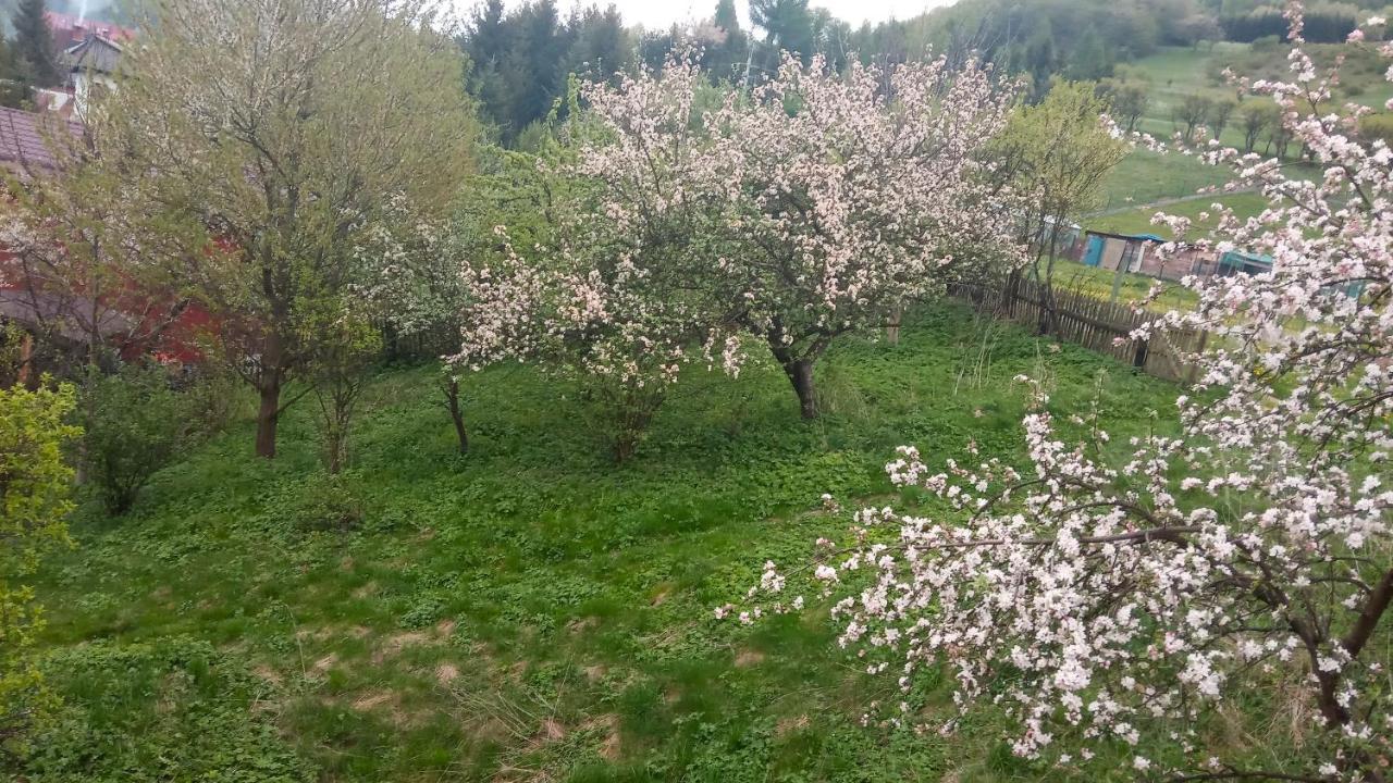 Pokoje U Adama Grajoka Szczawnica Kültér fotó