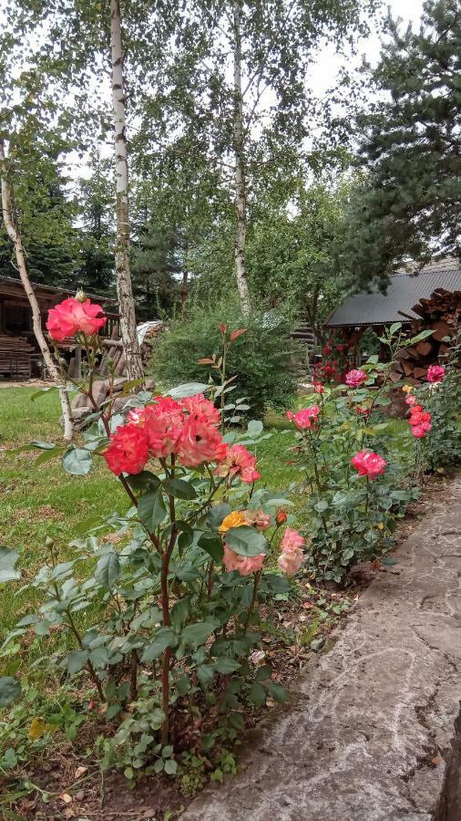 Pokoje U Adama Grajoka Szczawnica Kültér fotó