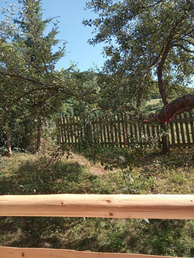 Pokoje U Adama Grajoka Szczawnica Kültér fotó